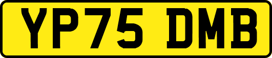 YP75DMB