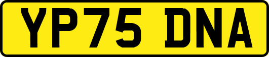 YP75DNA