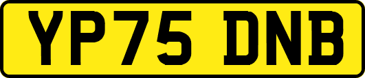 YP75DNB