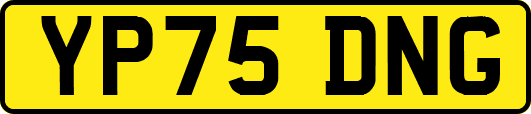 YP75DNG