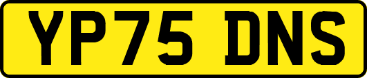 YP75DNS