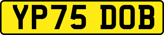 YP75DOB