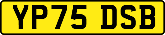 YP75DSB