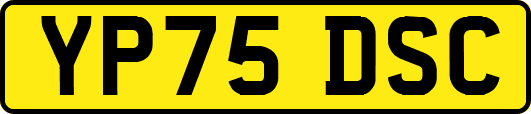 YP75DSC