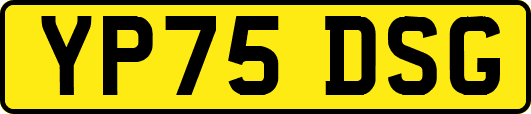 YP75DSG