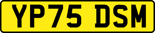 YP75DSM