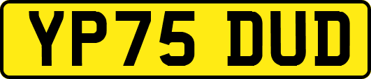 YP75DUD