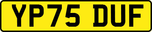 YP75DUF