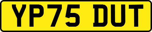 YP75DUT