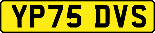 YP75DVS