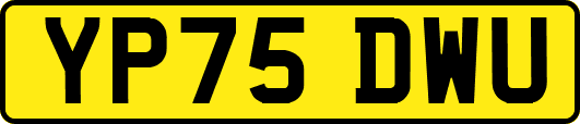 YP75DWU
