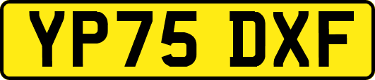 YP75DXF