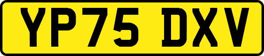 YP75DXV
