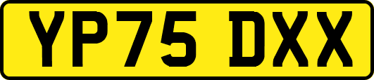 YP75DXX