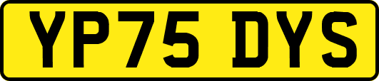YP75DYS