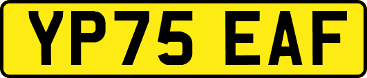 YP75EAF