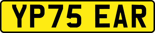 YP75EAR