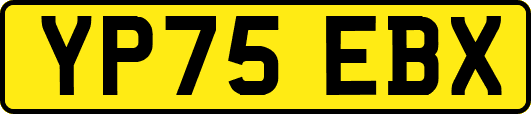 YP75EBX