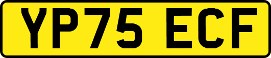 YP75ECF