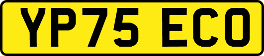 YP75ECO
