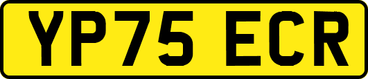 YP75ECR