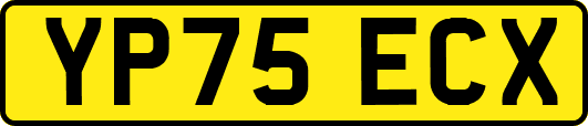 YP75ECX
