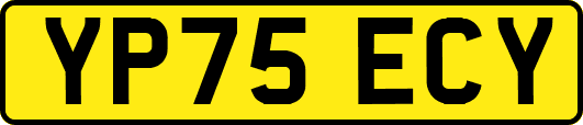 YP75ECY