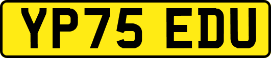 YP75EDU