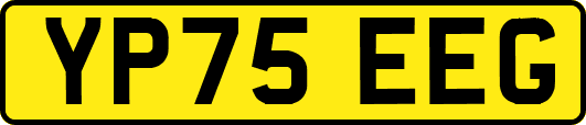 YP75EEG