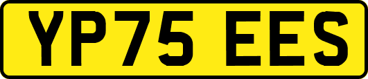 YP75EES