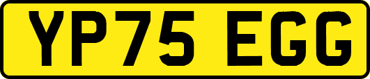 YP75EGG