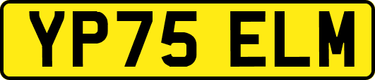 YP75ELM