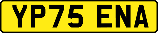 YP75ENA
