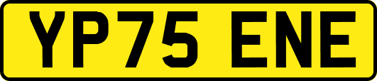 YP75ENE