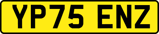 YP75ENZ