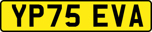 YP75EVA