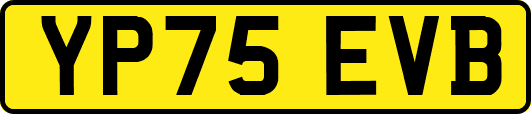YP75EVB