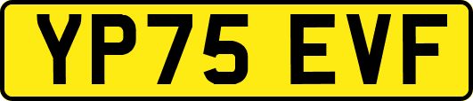 YP75EVF