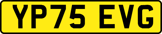 YP75EVG