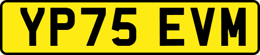 YP75EVM