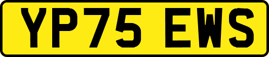 YP75EWS