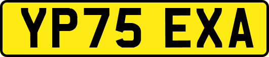YP75EXA