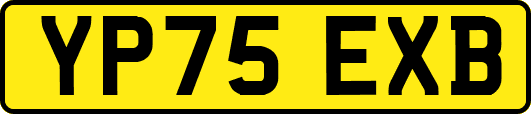 YP75EXB