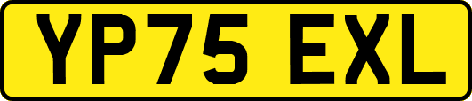 YP75EXL