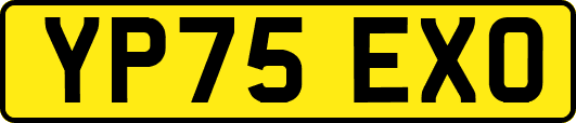 YP75EXO