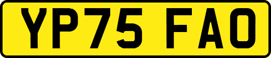 YP75FAO