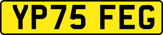 YP75FEG