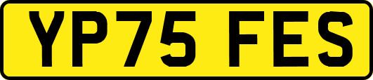 YP75FES