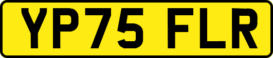 YP75FLR
