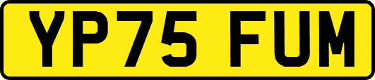 YP75FUM